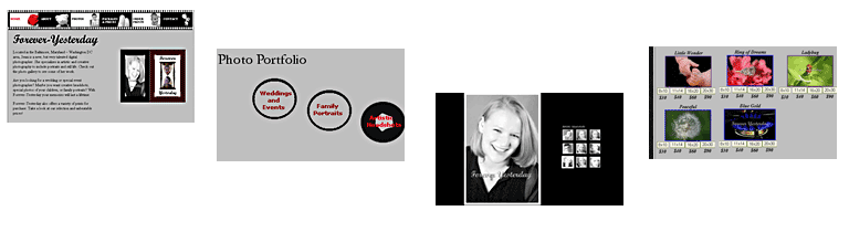 Random snapshots of sites designed by Creative Splendor Web Design & Development